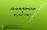 Disease transmission and cycle