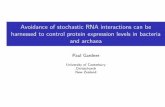 Avoidance of stochastic RNA interactions can be harnessed to control protein expression levels in bacteria and archaea