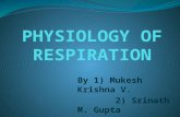 Physiology of respiration