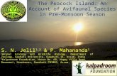 Presentation on 'THE PEACOCK ISLAND: AN ACCOUNT OF AVIFAUNAL SPECIES IN PRE-MONSOON SEASON'