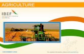 Agriculture Sectore Report - December 2016