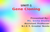 Unit 1 genetic engineering