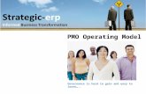 Strategic ERP PMO TOM Learn More 2011