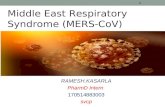 Middle East Respiratory Syndrome (MERS)