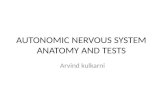 Autonomic nervous system anatomya and its testing