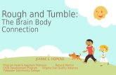 Rough and tumble – the brain body connection