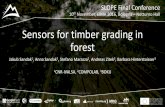 SLOPE Final Conference - sensors for timber grading in forest