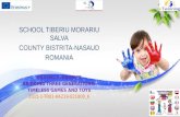 School Tiberiu Morariu Salva,Romania Presentation.