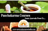 Panchakarma Courses In New Delhi | Ayurvedic Courses In India