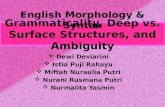 grammaticality, deep & surface structure, and ambiguity