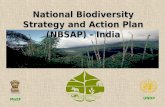 Biodiversity Conservation, Sustainability, and Equity: Outcomes of India's NBSAP Process 2000-2003