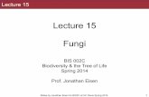 BIS2C. Biodiversity and the Tree of Life. 2014. L15. Fungi