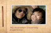 The Australian Educational Experience