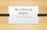 The Urban Ag Project