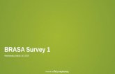 BRASA Survey 1