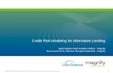 Credit Risk Modeling for Alternative Lending