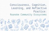 Overview Presentation - "Consciousness, Cognition, Learning, and Reflective Practice