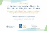 The NAP Agriculture Programme