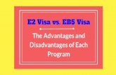 E2 Visa vs. EB5 Visa: The Advantages and Disadvantages of Each Program