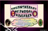 Chemotherapy of fungal diseases