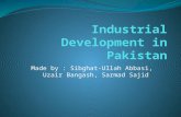 Industrial development in pakistan (2)