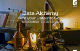 Data Alchemy: Turn your Data into Gold