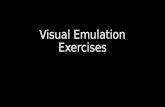 Emulation exercises quarters 1,2,3,4