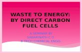 waste to energy by direct carbon fuel cells