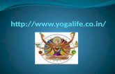 Yogalife - Online Hub of Yoga