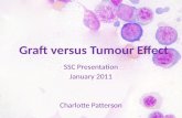 Graft versus Tumour effect