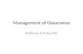 Glaucoma 4 therapy of glaucomas, dr.k.n.jha,09.11.16