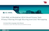 TUB-IRML at MediaEval 2014 Visual Privacy Task: Privacy Filtering through Blurring and Color Remapping