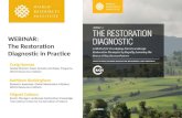 The Restoration Diagnostic in Practice