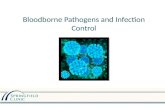Bloodborne Pathogens and Infection Control Training