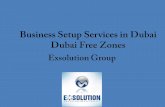 Business setup services in dubai free zones