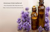 Organic essential oil suppliers and manufacturers at aromaaz international!