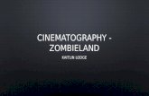 Cinematography of zombieland