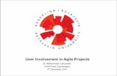 UX in an agile environment, 5 December 2016, Aalborg