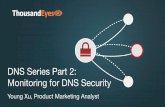 Monitoring for DNS Security