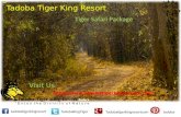 3 days and 2 nights taboba tiger safari package