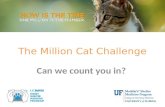 The Million Cat Challenge:  Can we count you in?