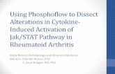 Using Phosphoflow to Dissect Alterations in Cytokine-Induced ...