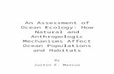 An Assessment of Ocean Ecology