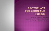 PROTOPLAST ISOLATION & FUSION