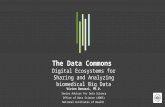 Data Commons Garvan -  2016