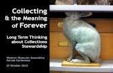 Long-Term Thinking about Collections Stewardship