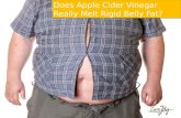 Apple cider vinegar melt belly fat
