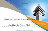 Flexible Optical Transmission