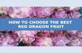 Choosing the best dragon fruit