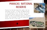 Paracas national reserve